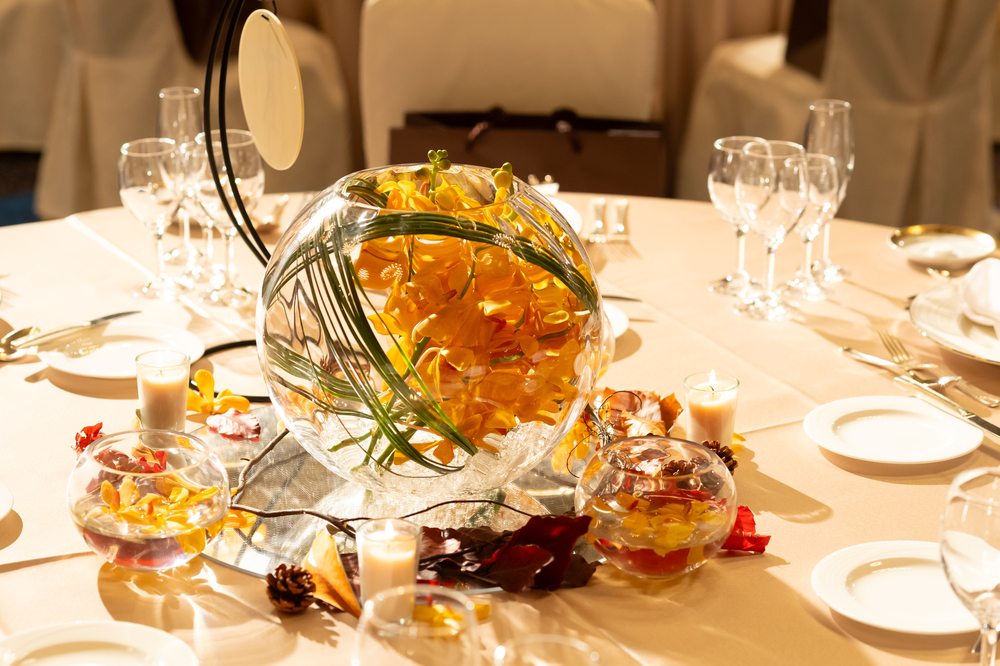 コーディネート